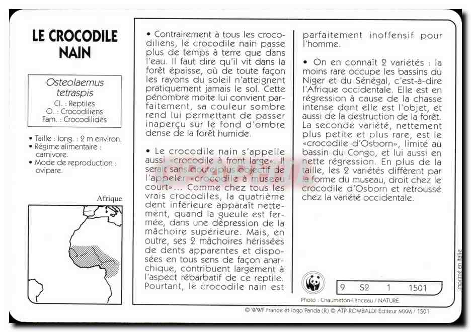 Carte Les Crocodile Nain WWF — Rückseite