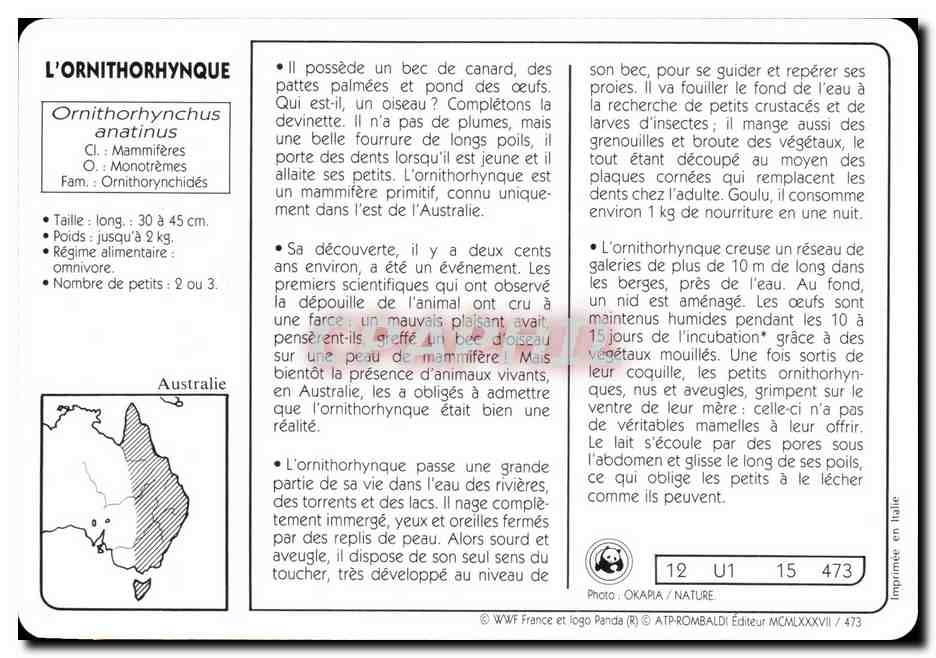 Carte L'ornithorhynque WWXF — Rückseite