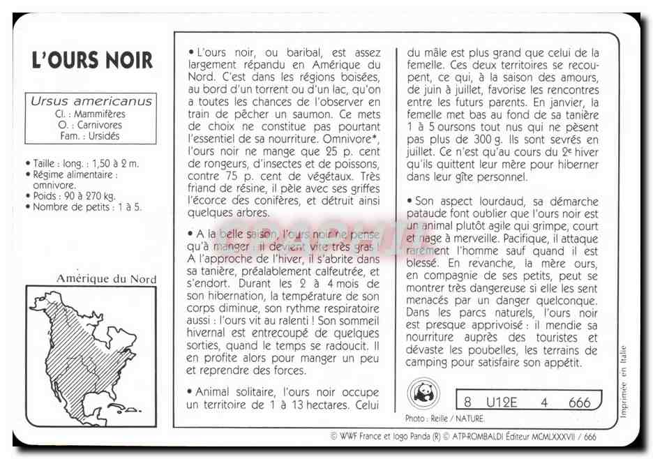 Carte L'Ours Noir WWF — Rückseite