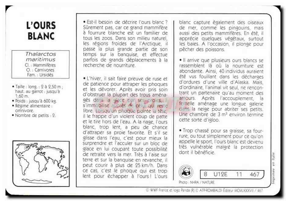 Carte L'Ours Blanc WWF — Rückseite