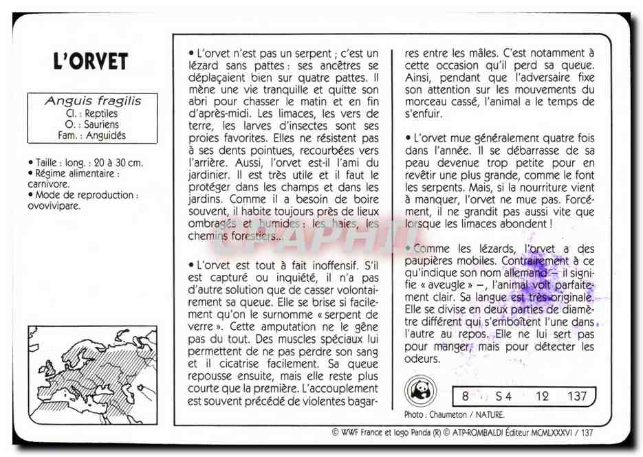 Carte L'Orvet WWF — Rückseite