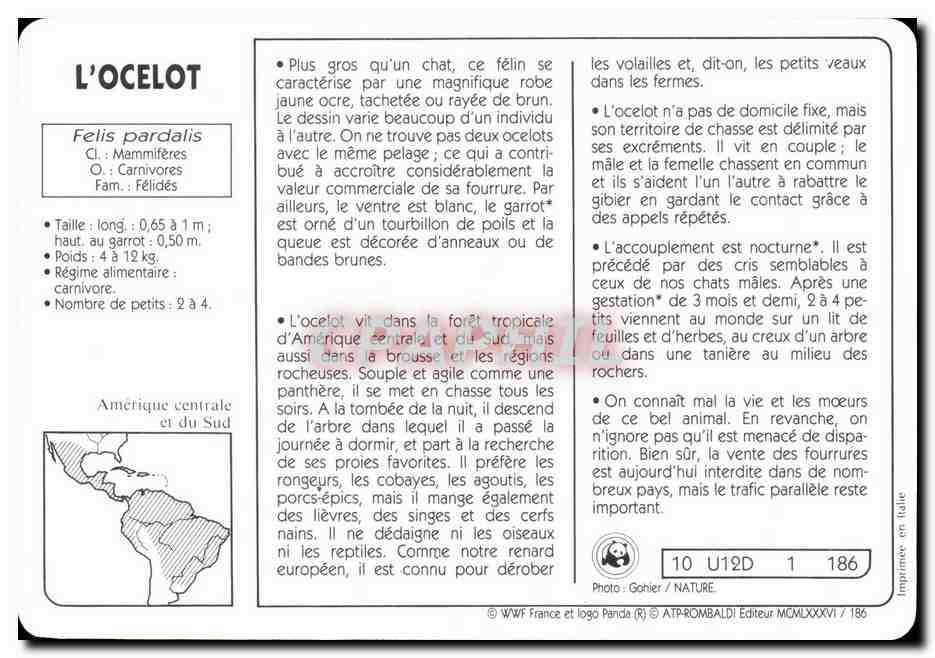 Carte L'Ocelot ce gros chat WWF — Rückseite