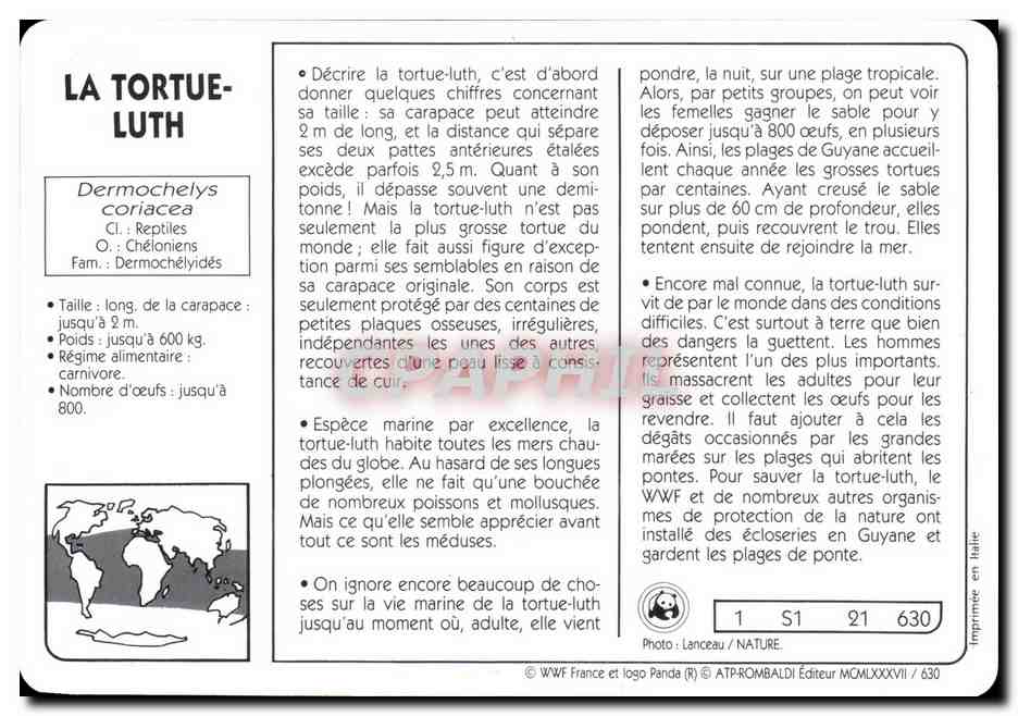 Carte La Tortue Luth WWF Guyane — Rückseite