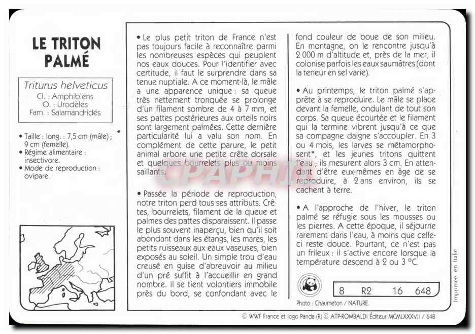 Carte La Triton Palme WWF — Rückseite