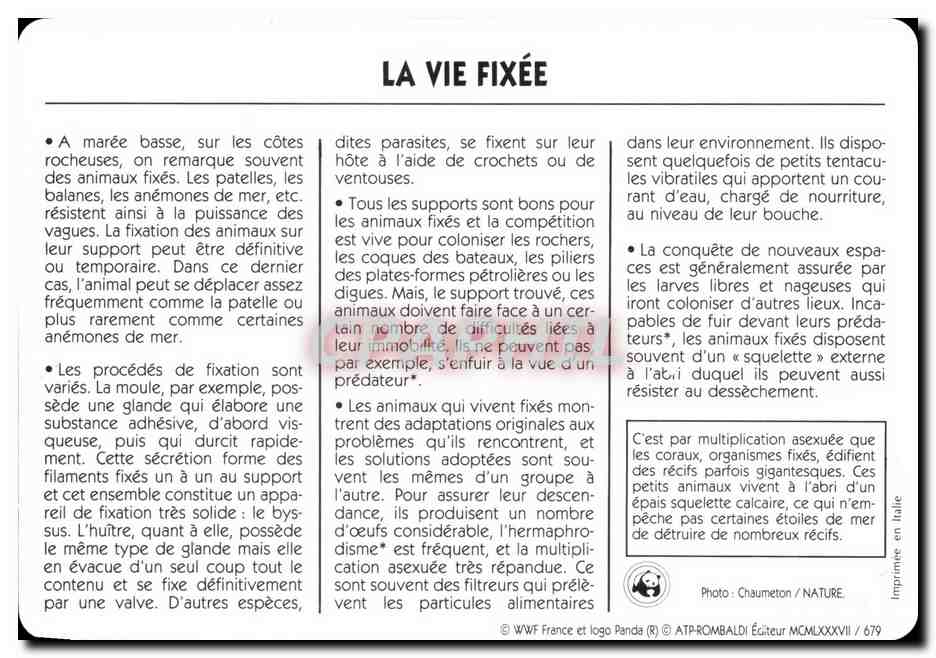 CPA Le Vie Fixee WWF — Rückseite