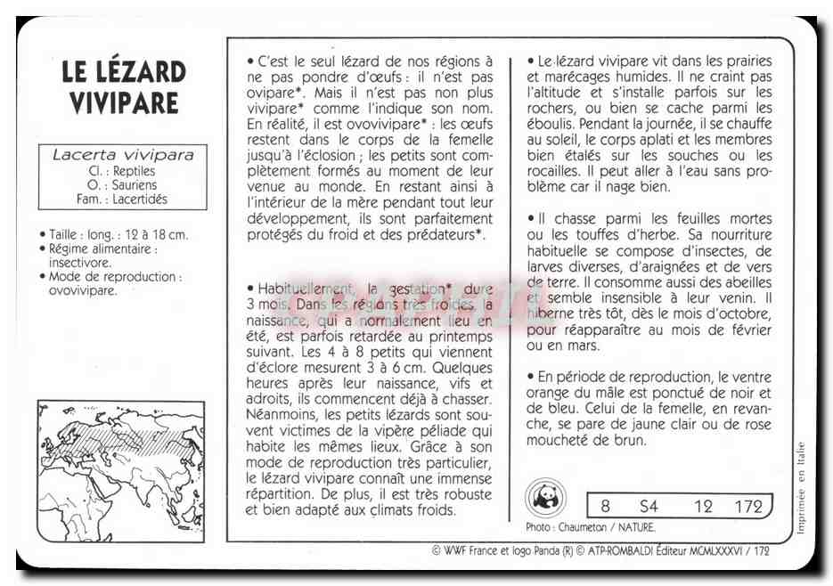 Carte Le Lezard Vivipare WWF — Rückseite