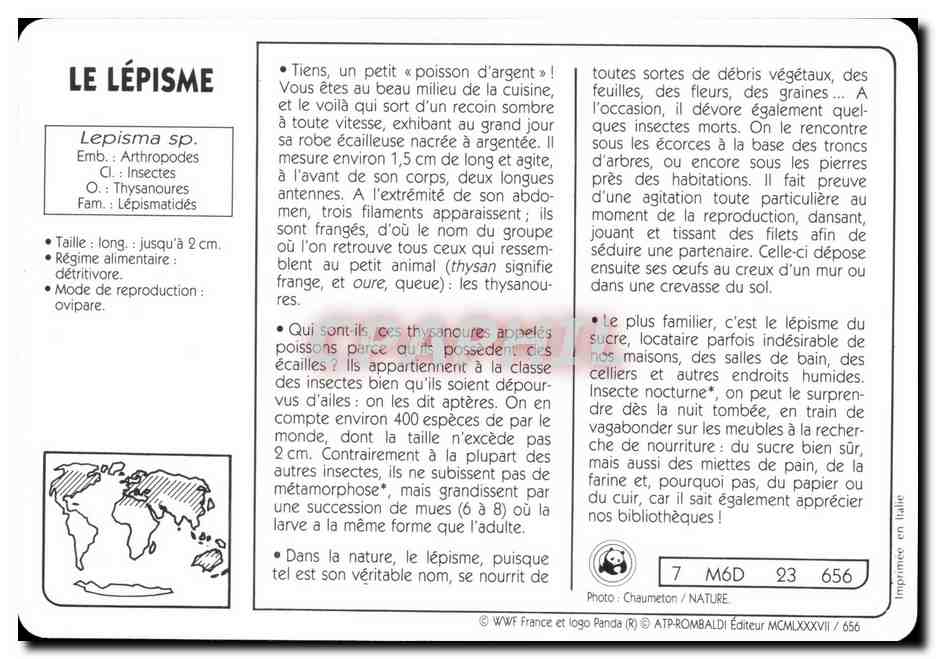 Carte Le Lepisme Le poisson d'argent WWF — Rückseite