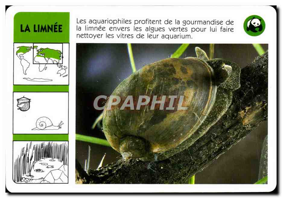 Carte La Limnee WWF