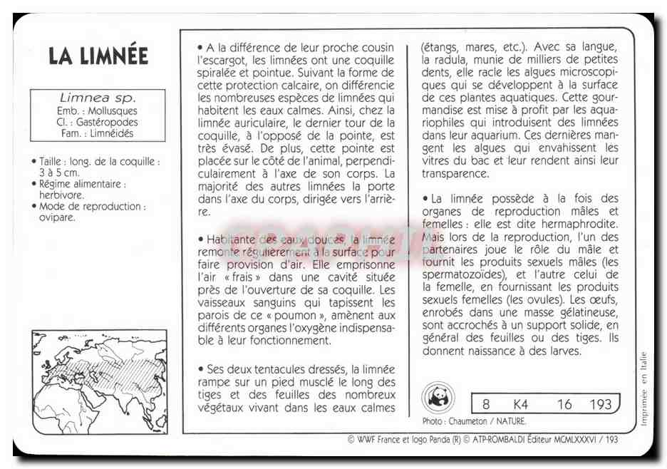 Carte La Limnee WWF — Rückseite