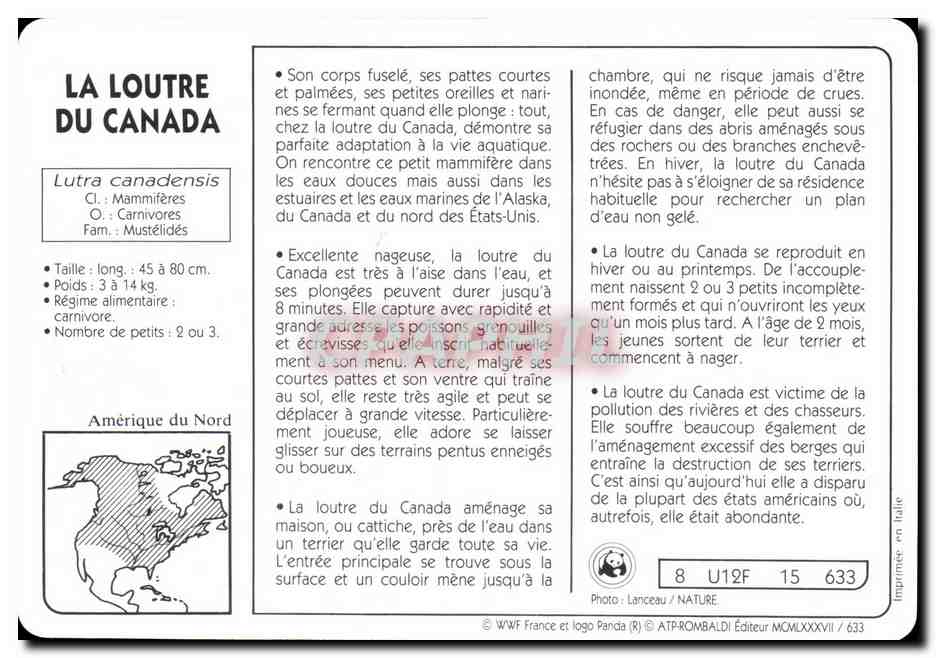 Carte Le Loutre Du Canada WWF — Rückseite