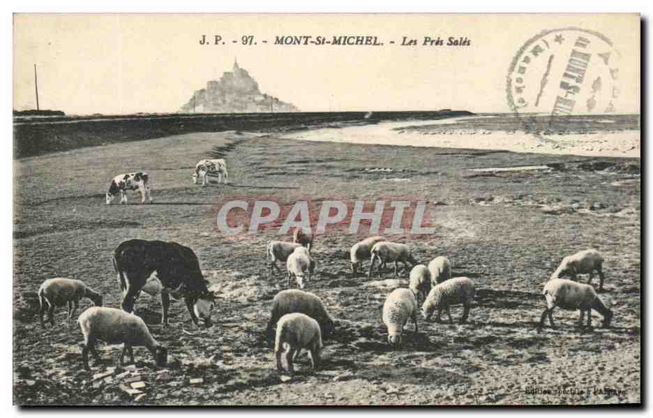 CPA Mont St Michel Les Pres Sales Moutons Vaches