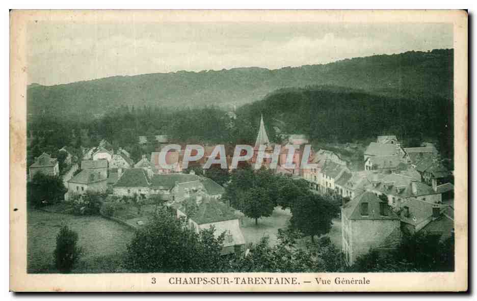 CPA Champs Sur Tarentaine Vue Generale