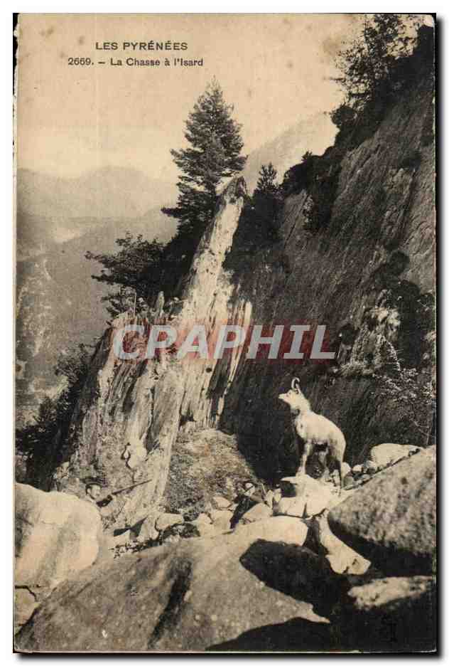 Die Pyrenäen — Die Chamois-Jagd — n°2669
