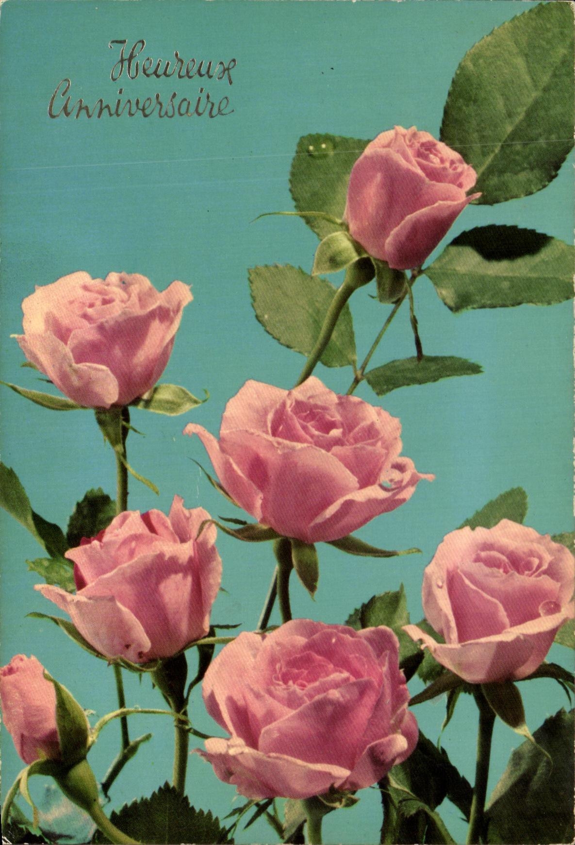 CPM Fleurs Roses