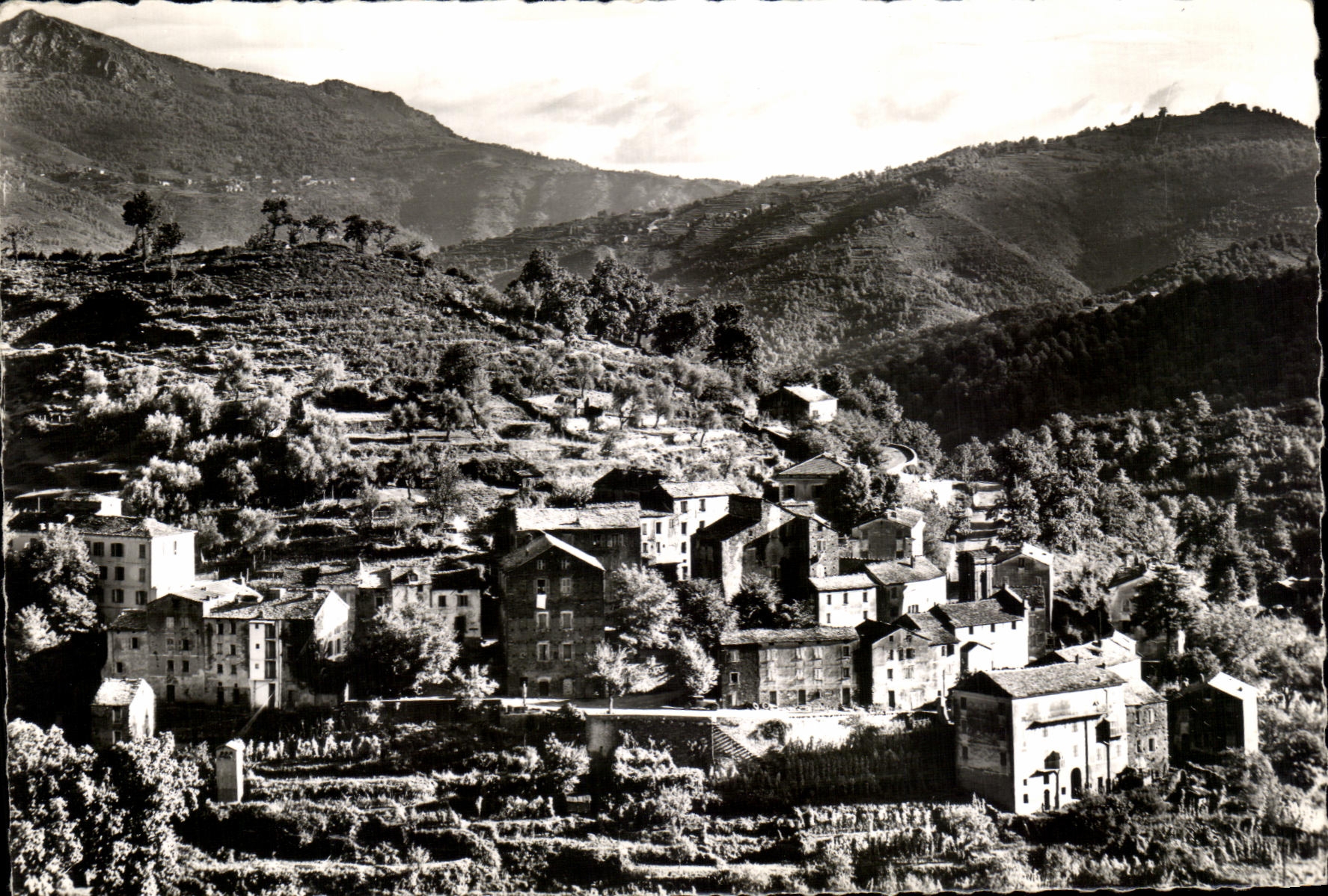 CPSM La Corse Ile de Beaute Orezza les Eaux Stazzona