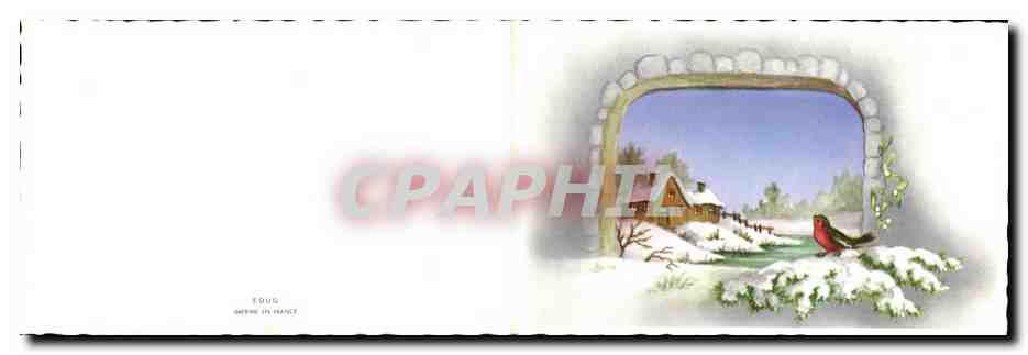 CPA Neige oiseau