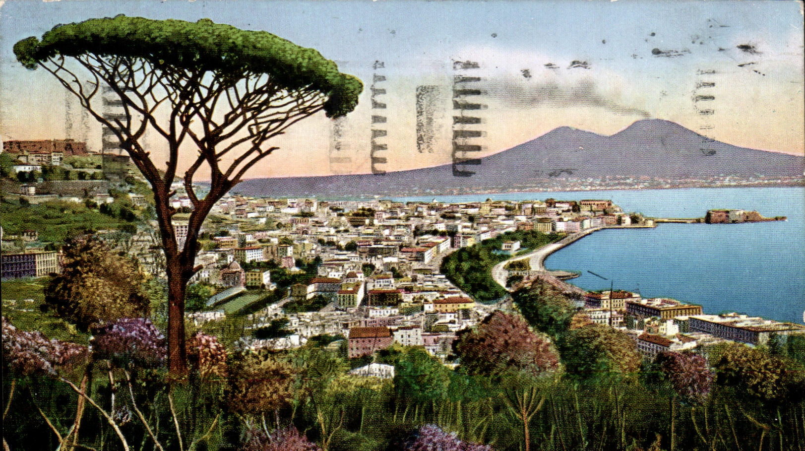 CPA Napoli Panorama col Pino