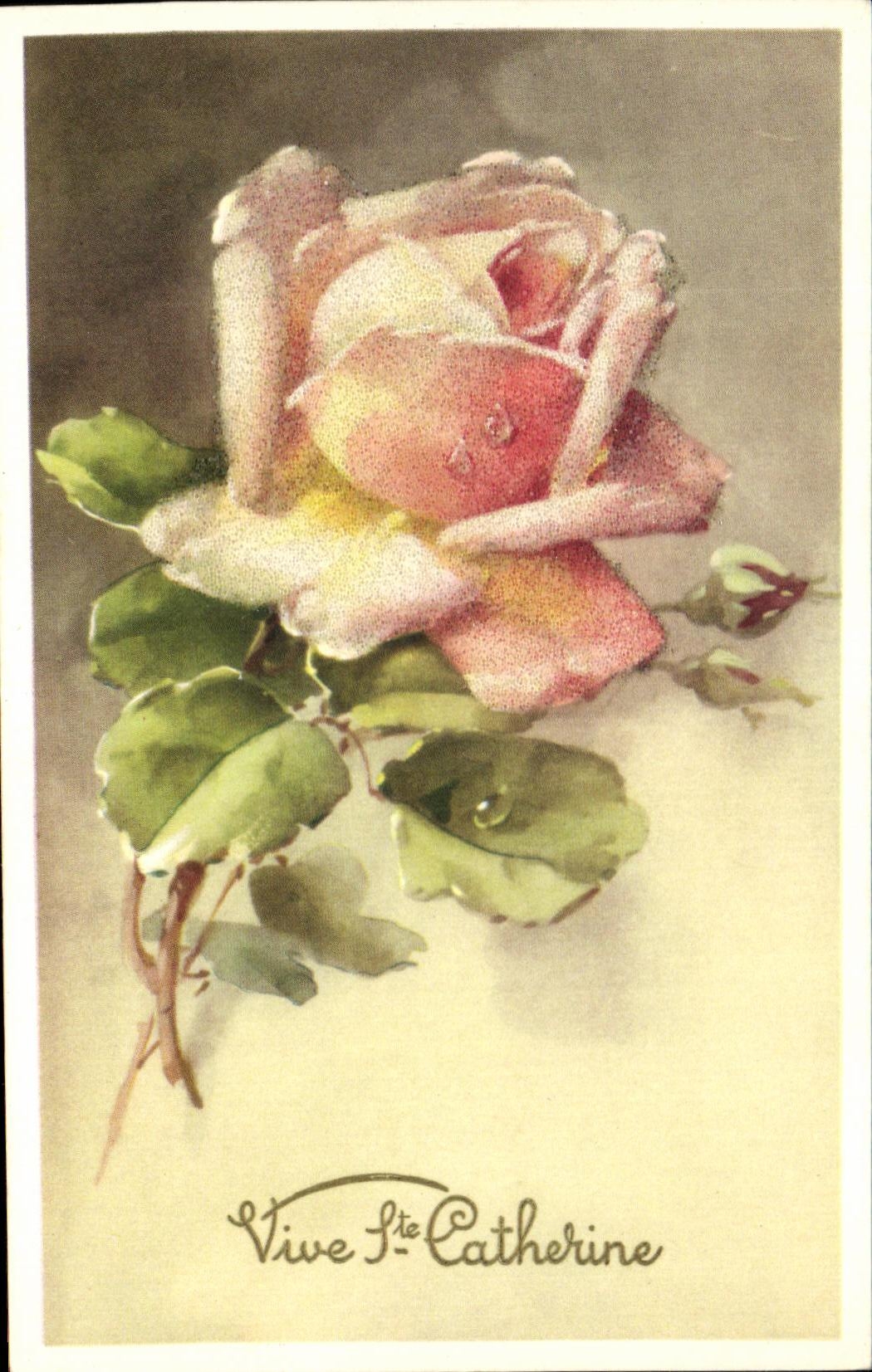 CPA Vive St Catherine Fleurs