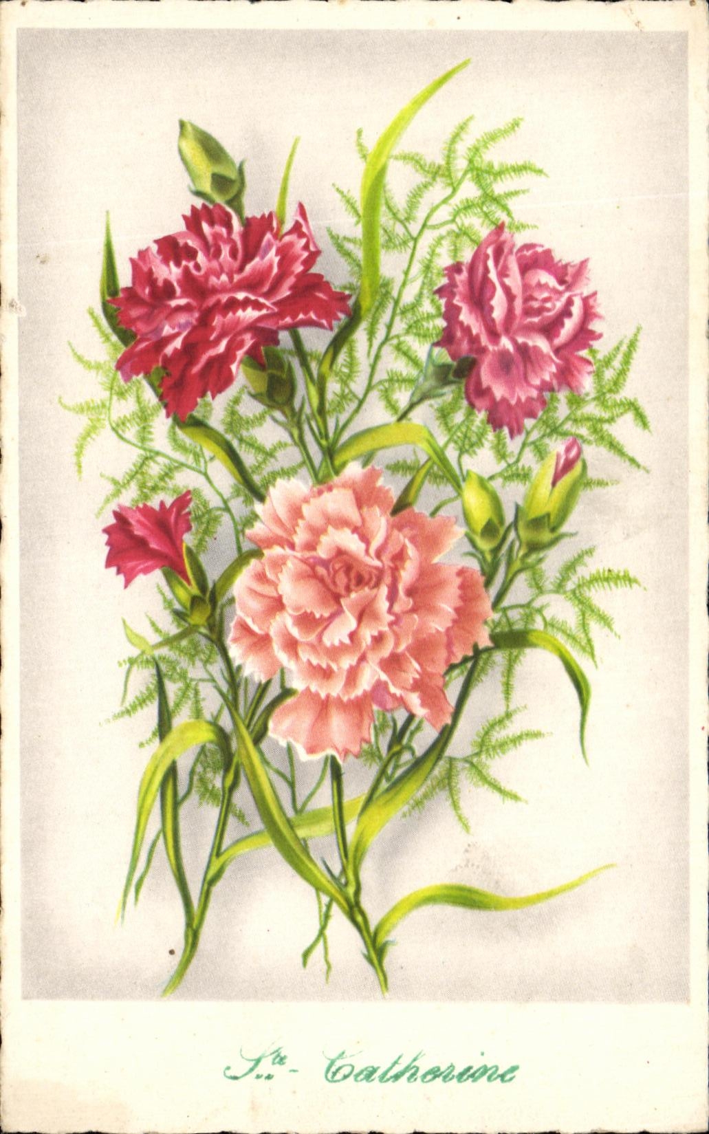 CPA Catherine Fleurs