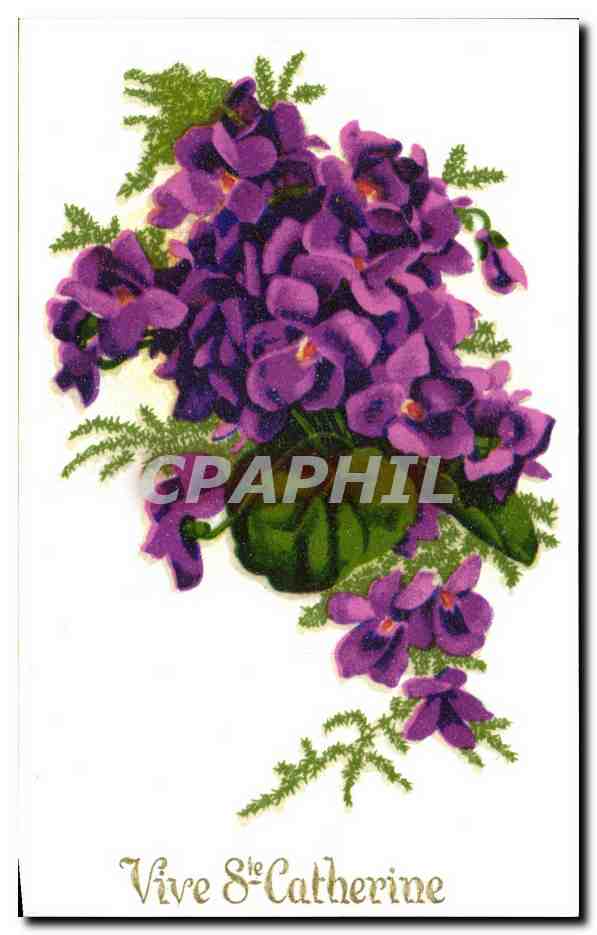 CPA Vive St Catherine Fleurs