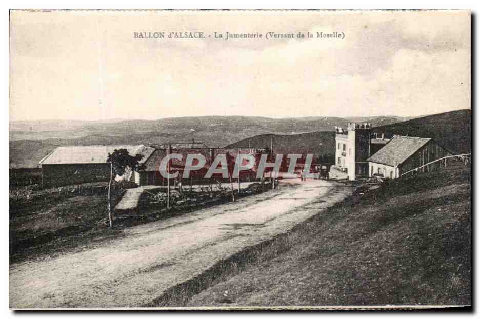 Ballon d'Alsace - La Jumenterie (Versant de la Moselle) — Carte postale Cartes 'La Cigogne', Strasbourg