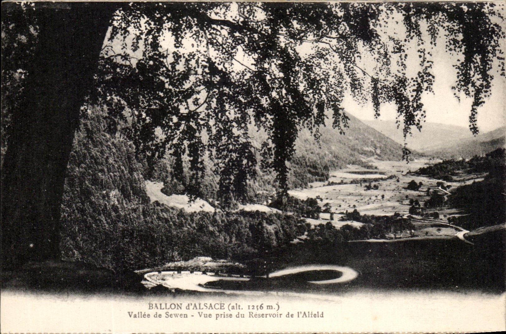 Ballon d'Alsace (alt. 1256 m.) — Vallée de Sewen — Vue prise du Réservoir de l'Alfeld