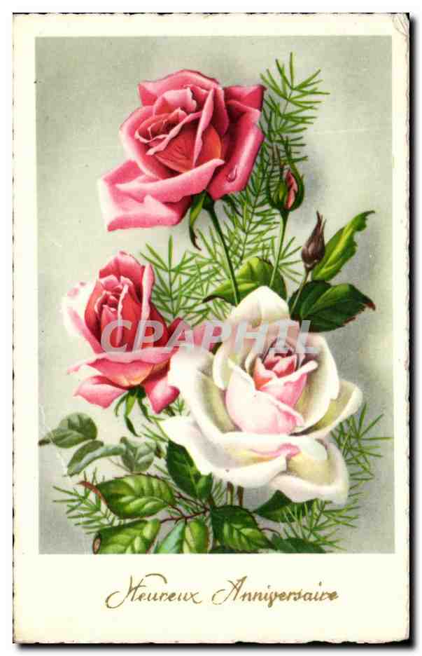 CPA Heureux Anniversaire Fleurs Roses 