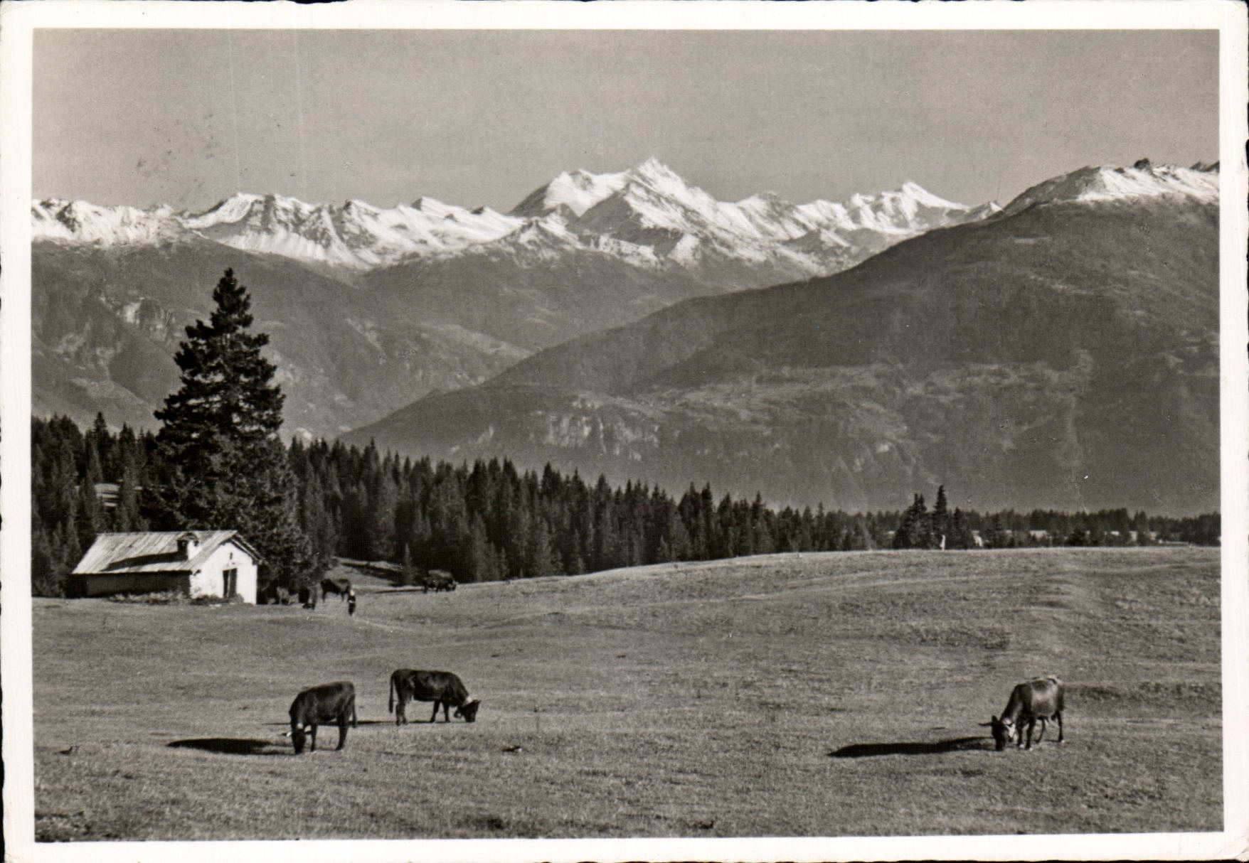CPM Crans Sierre Les Plans Mayens Le Dam Weissharn et Rolborn