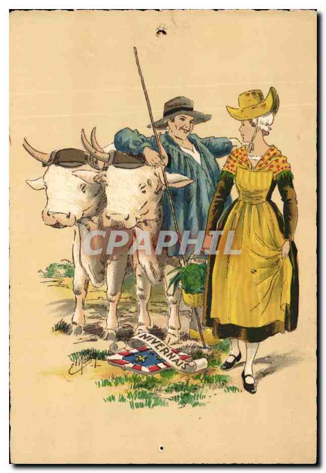 CPA Foklore Province Nivernais Attelage Boeufs 