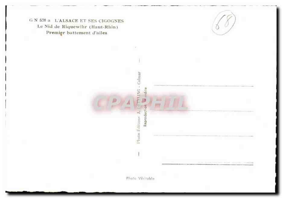 Le Nid de Riquewihr (Haut-Rhin) — Premier battement d'ailes — Éditions J. Colinar — Verso