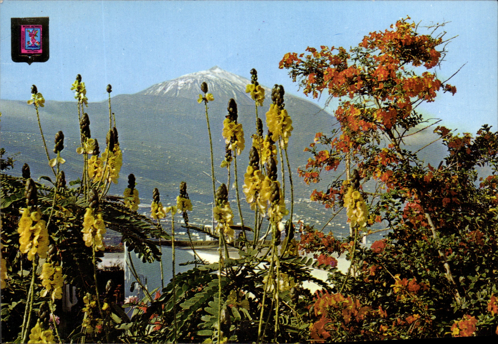 CPM Tenerife Et Teide Preside et coloride 