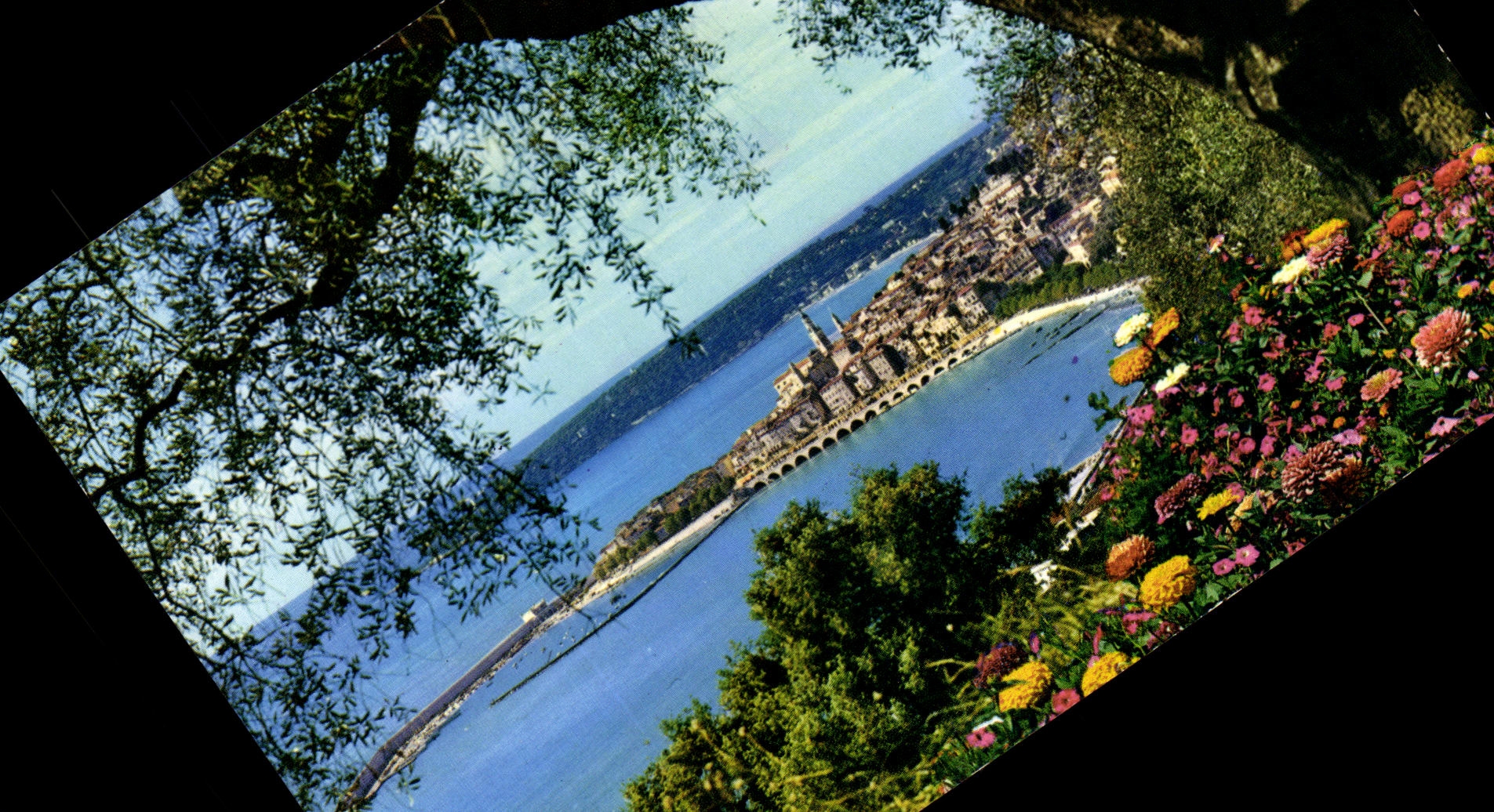 Vue générale de la Côte d'Azur — Menton — Les Éditions GILLETTE, série 907