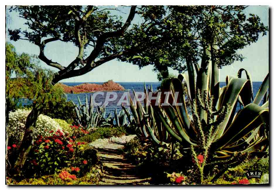 Les Plages de la Douceur — Côte d'Azur — Éditions Mexichrome