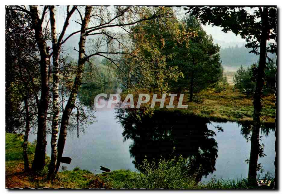 Matin d'automne sur la Vézère — près de Bugeat — Éditions Méxichrome, Limoges