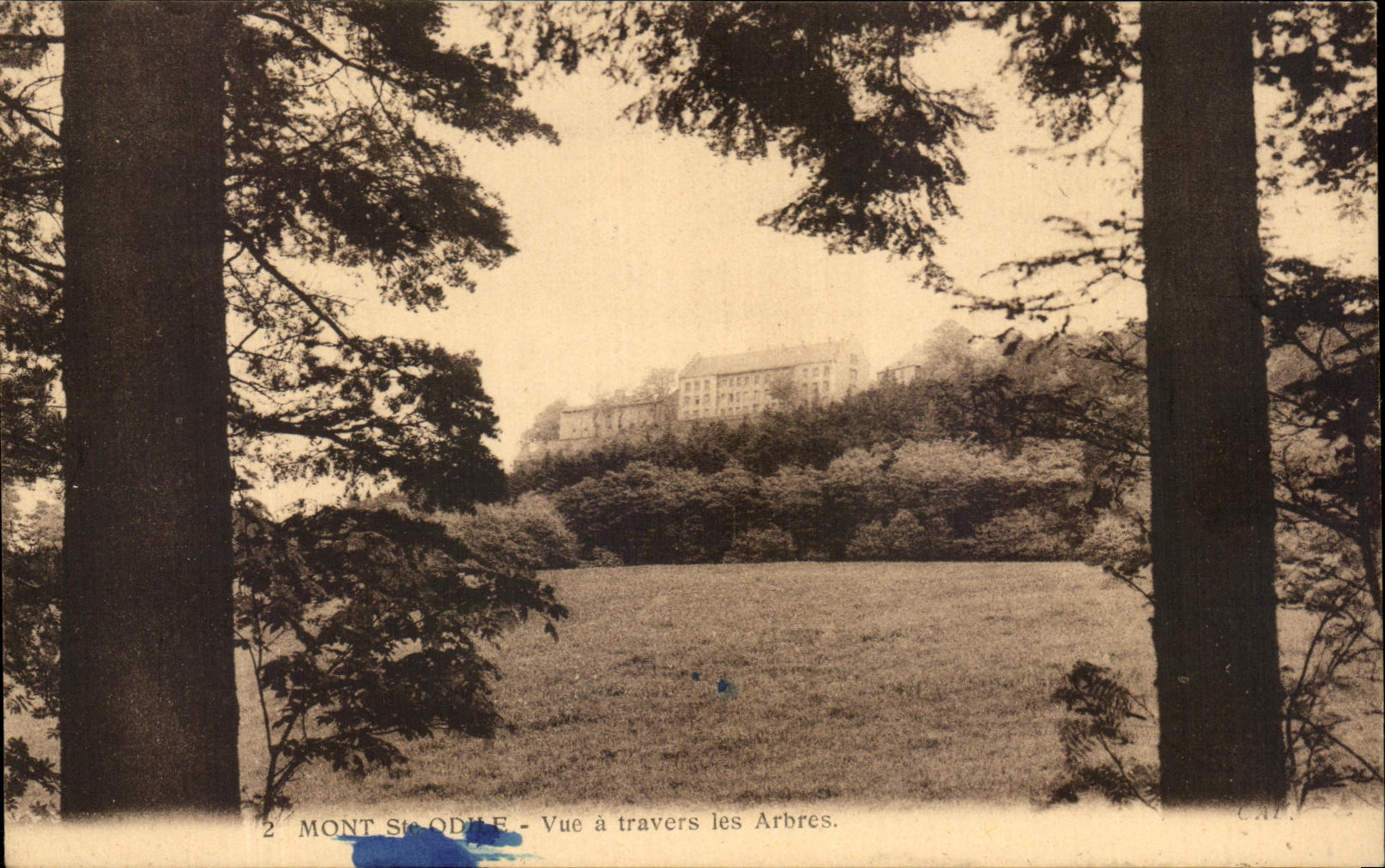 Mont St-Odile - Vue à travers les Arbres — Éditeur C.A.T.