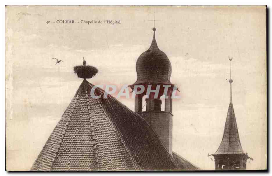 CPA Colmar Chapelle de l'Hopital Cigogne