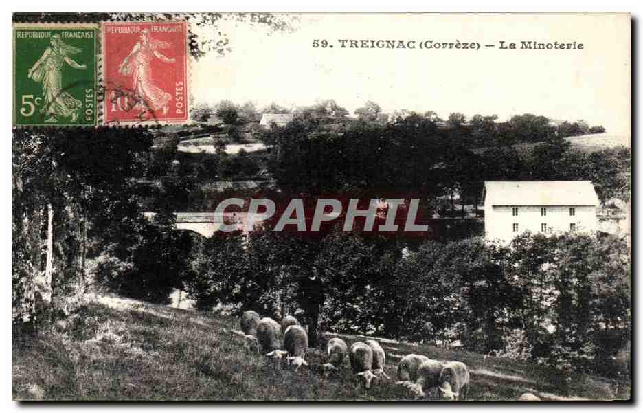 CPA Treignac La Minoterie Moutons 