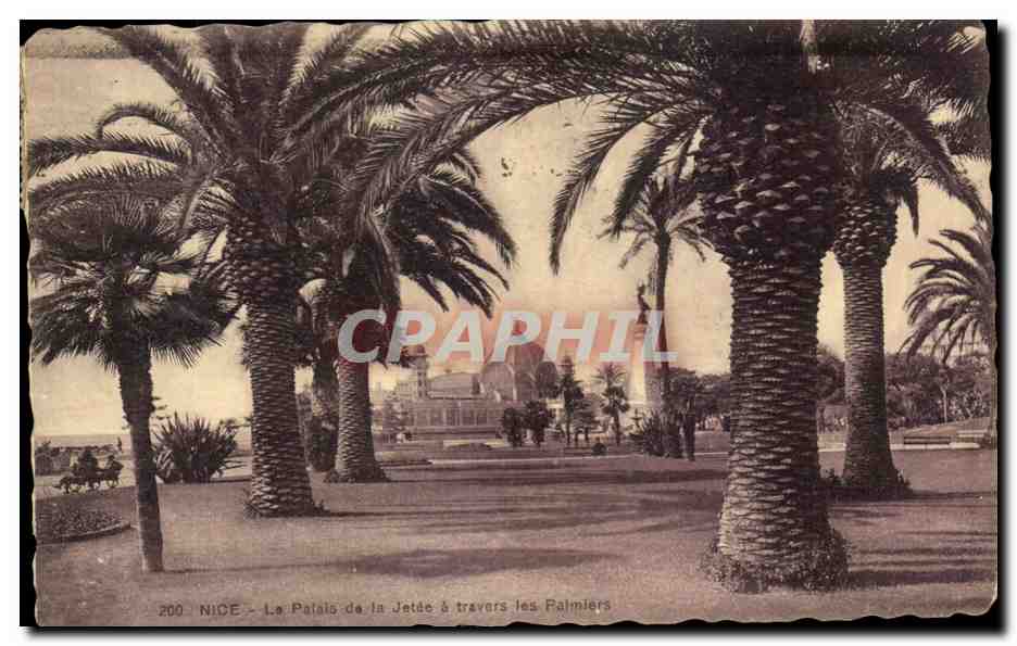 CPA Nice Le Palais de la Jetee a Travers les Palmiers