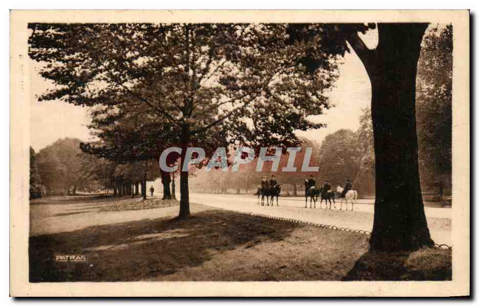 CPA Les Jolis coins de Paris Avenue du Bois de Boulogne Cheval