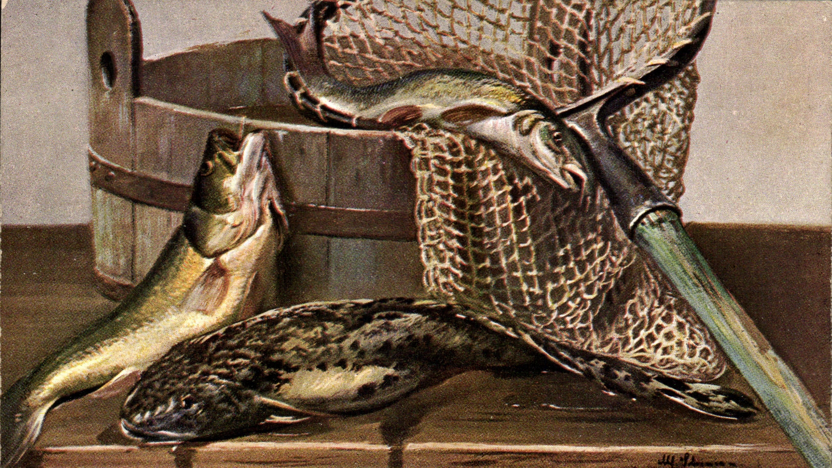 CPA Poissons de mer