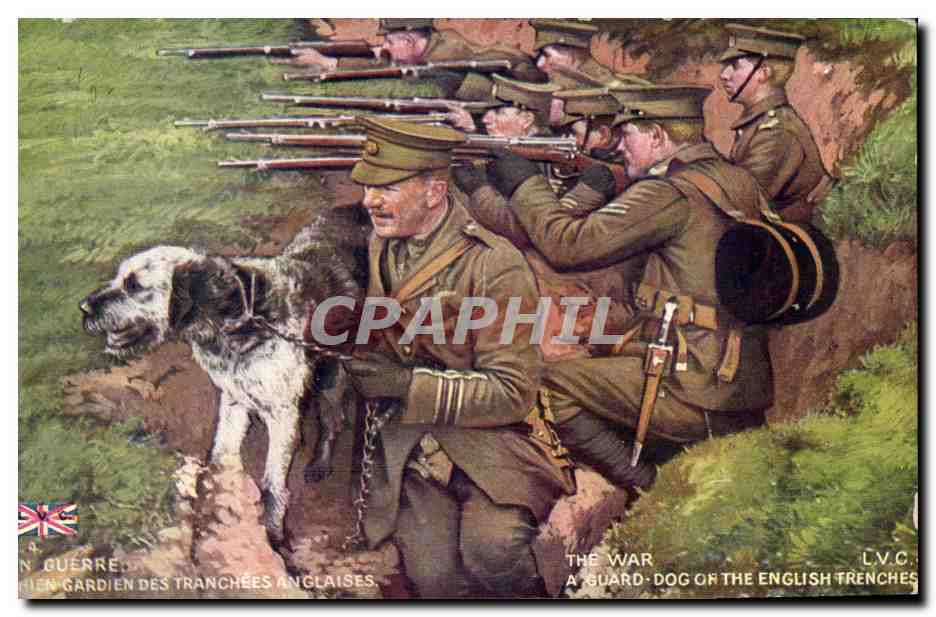 CPA Guerre Chien Gardien des Des Tranchees Anglaises Militaria 