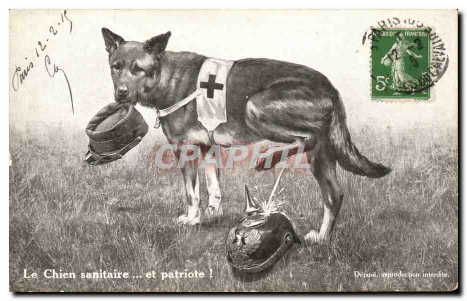 Cane sanitario e patriota — Edizioni PRO PATRIA, n° non visibile
