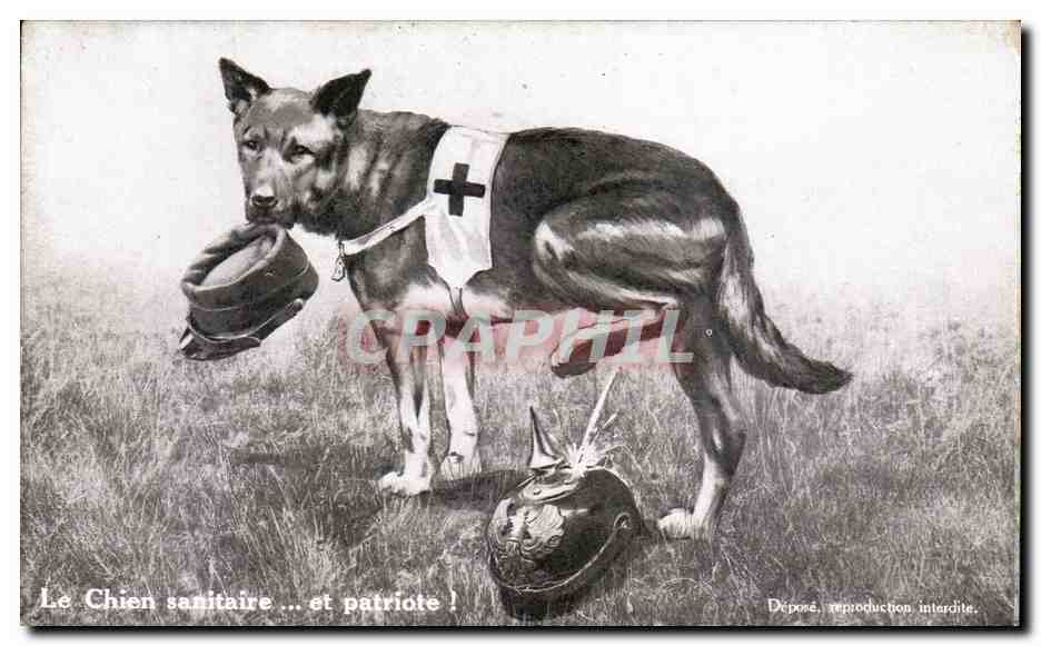 Chien sanitaire ... et patriote ! — Édition Lorraine