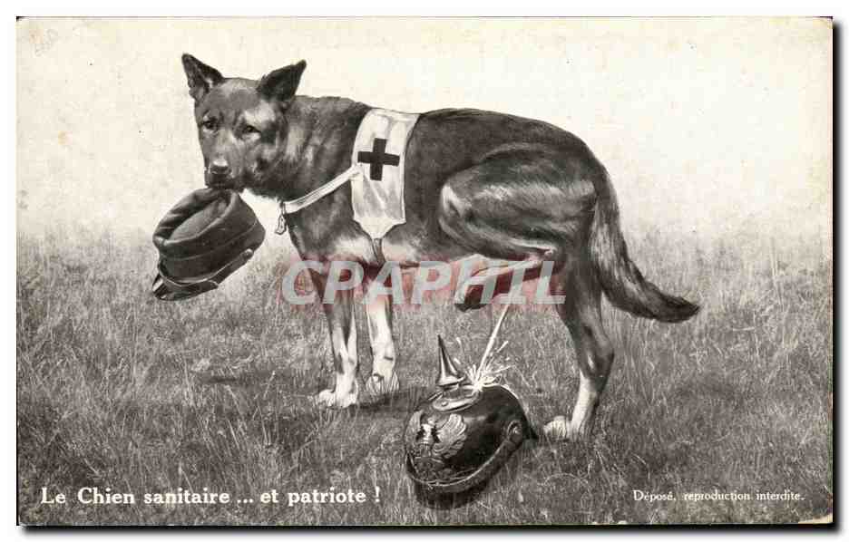 Sanitärer und patriotischer Hund — Éditions PRO PATRIA