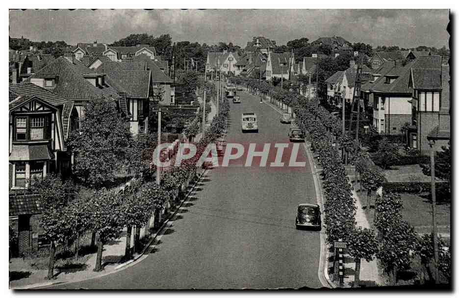 CPA Knokke Zoute Avenue Elisabeth