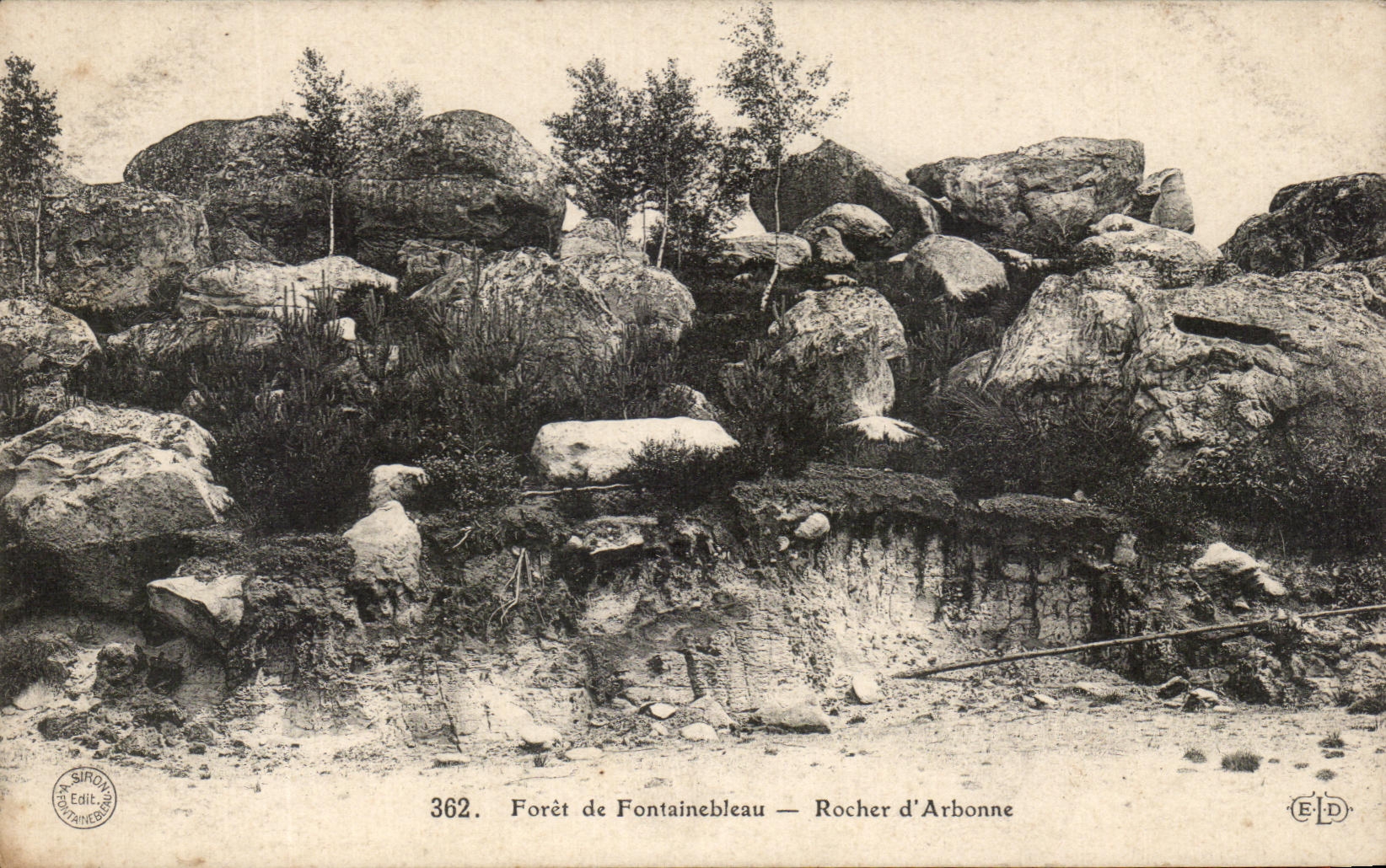 Forêt de Fontainebleau — Rocher d'Arbonne — Siro Phot. n°362
