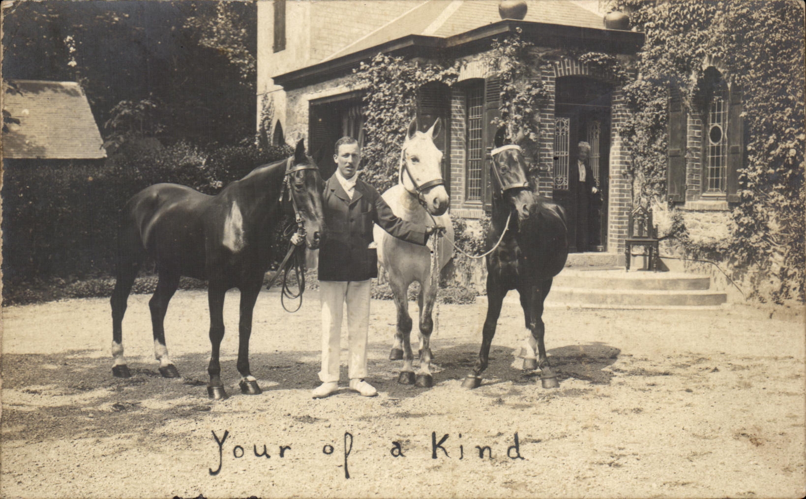 CARTE PHOTO Your Of A Kind Cheval