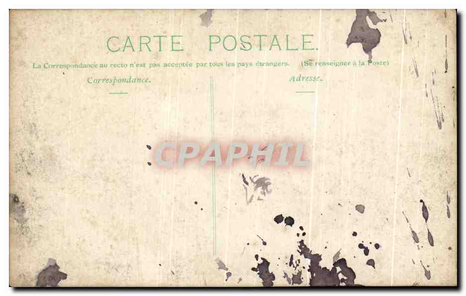 CARTE PHOTO Your Of A Kind Cheval — Rückseite