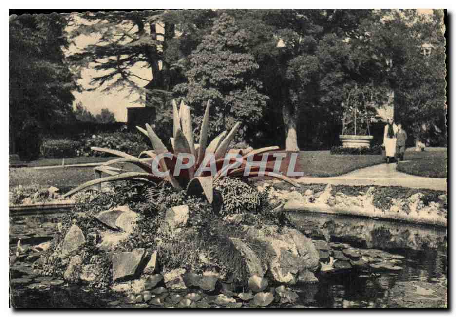 CPSM Le Mont Saint Michel Le Jardin Des Plantes