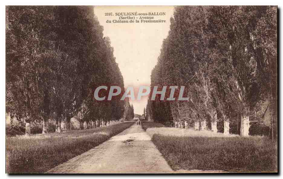 Souligné-sous-Ballon — Avenue du Château de la Freslonnière — imp. phot. A. Doléau, Le Mans